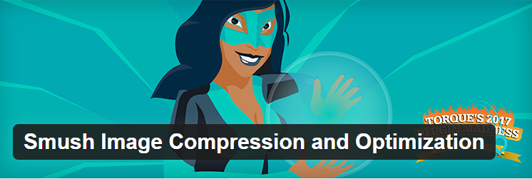 wordpress plugins
